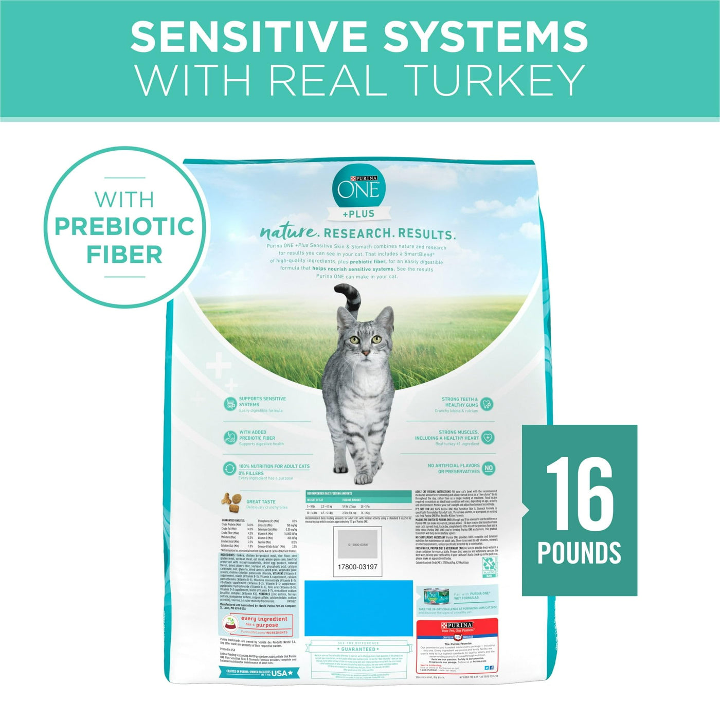 Sensitive Skin & Stomach Dry Cat Food - Turkey - Supports Strong Teeth and Healthy Gums - Digestible Formula for Cats with Sensitive Systems - 16 lb Bag