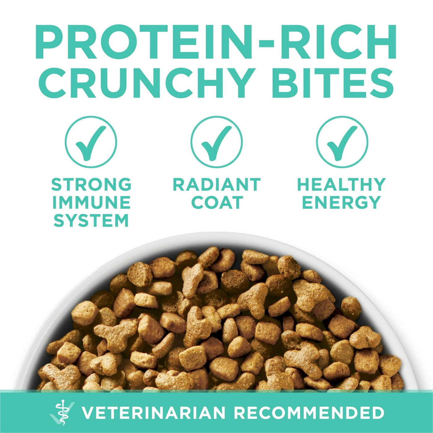 Sensitive Skin & Stomach Dry Cat Food - Turkey - Supports Strong Teeth and Healthy Gums - Digestible Formula for Cats with Sensitive Systems - 16 lb Bag