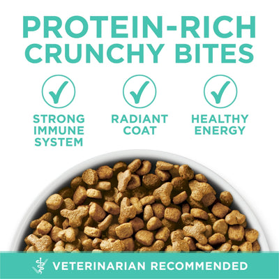 Sensitive Skin & Stomach Dry Cat Food - Turkey - Supports Strong Teeth and Healthy Gums - Digestible Formula for Cats with Sensitive Systems - 16 lb Bag