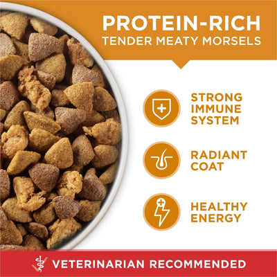 Trase A Dry Dog Food for Adult Dogs High Protein - Real Chicken & Rice - Supports Strong Immune System - Natural Sources of Glucosamine Help to Support Healthy Joints - 8 lb Bag
