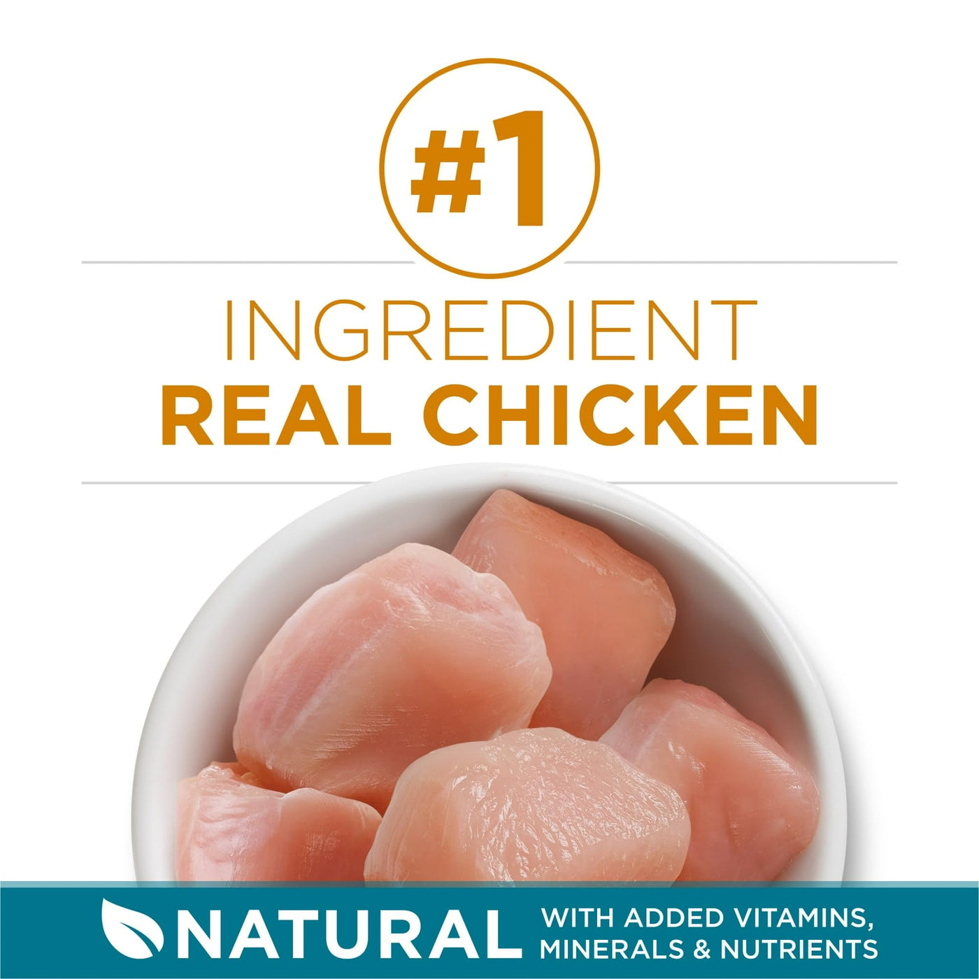 Tender Select Blends Dry Cat Food - Chicken Providing Protein to Help Support Strong Muscles - Natural Plus Essential nutrients - 22 lb Bag
