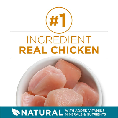 Tender Select Blends Dry Cat Food - Chicken Providing Protein to Help Support Strong Muscles - Natural Plus Essential nutrients - 22 lb Bag