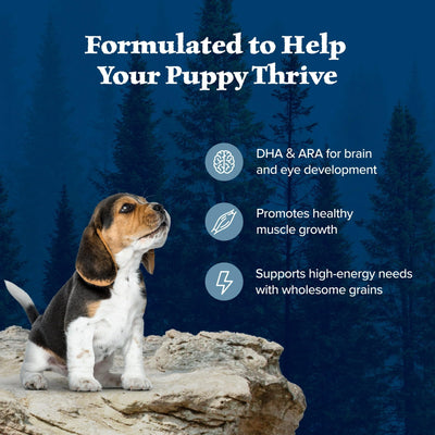 Trase A Wilderness High-Protein Natural Puppy Dry Food, Chicken Recipe - Formulated with Vitamins, Minerals, and Nutrients - 24 lb. Bag