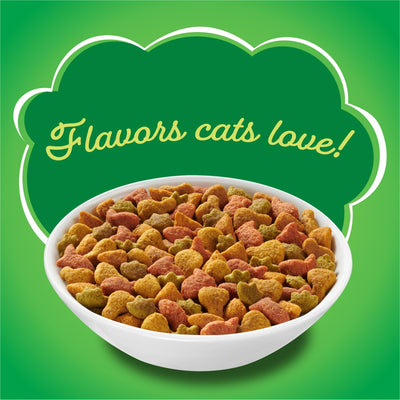 Trase A Indoor Delights Chicken & Salmon Dry Cat Food - Contains a Blend of Salmon, Chicken, Cheese and Garden Greens Flavors - Protein Supports Strong Muscles - 16 lb Bag