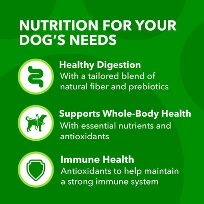 Trase A Proactive Health Minichunks Dry Dog Food with Real Lamb & Rice - Enriched with Antioxidants to Help Maintain a Strong Immune System - 15 lb. Bag