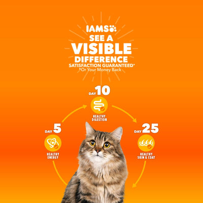 Trase A Proactive Health Healthy Adult Dry Cat Food with Real Salmon - Dry Cat Food Supports Whole Body Health with Essential Nutrients - Support a Strong Immune System - 7 Lb Bag