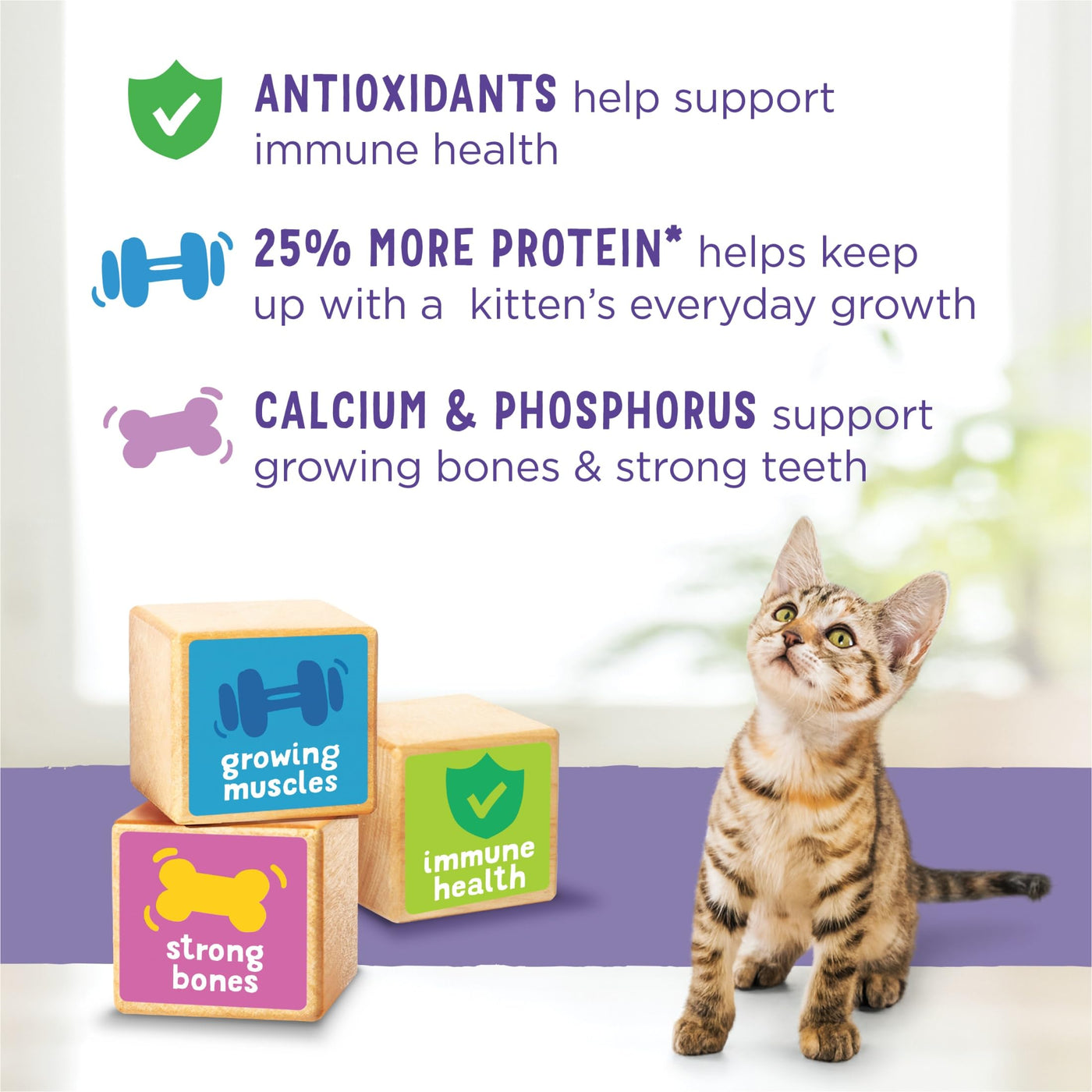 Trase A Purrina Food Healthy Development with Real Chicken Dry Food - Your Kitten Has A Lifetime of Happiness Ahead, and Keeping Her Healthy from The Start