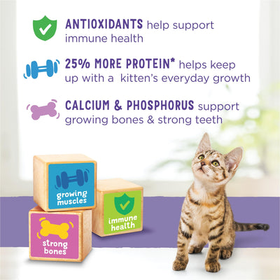 Trase A Purrina Food Healthy Development with Real Chicken Dry Food - Your Kitten Has A Lifetime of Happiness Ahead, and Keeping Her Healthy from The Start