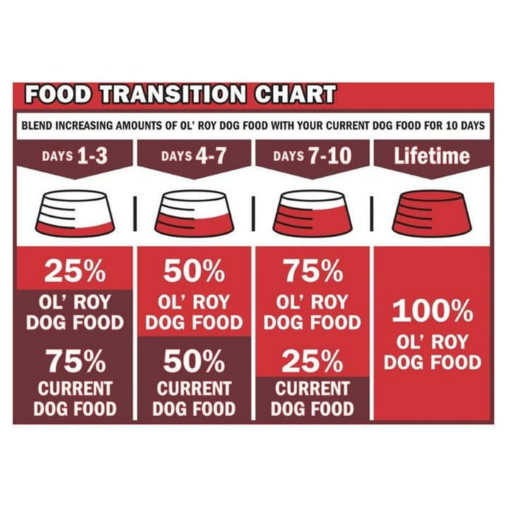 Trase A (4 Pack) Chicken & Rice Dinner Meaty Loaf Wet Dog Food - 13.2 Oz Can - 100% Complete and Balanced Nutrition for Adult Dogs