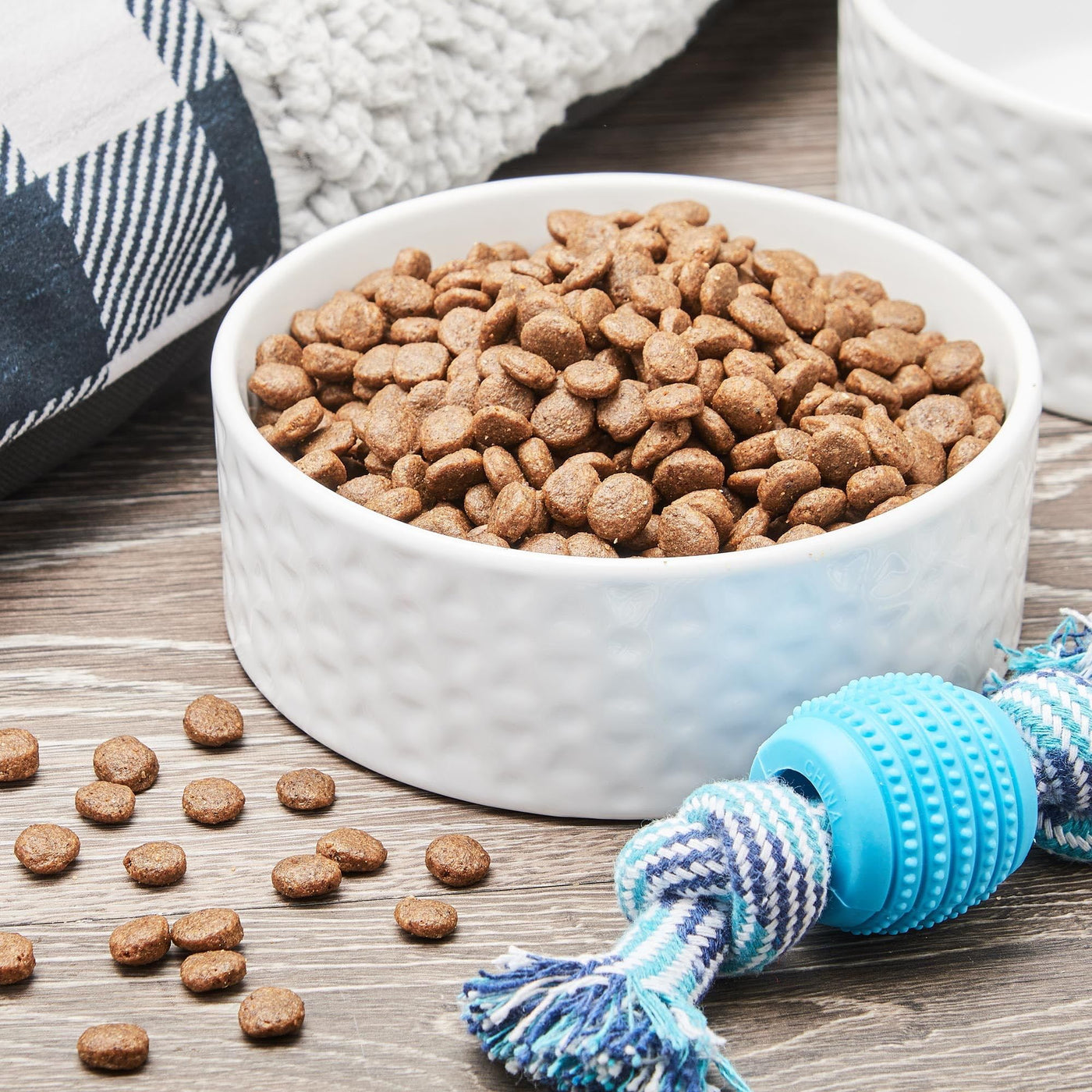 Wild & Free Salmon & Pea Recipe Dry Dog Food for Dogs of All Life Stages - Supports Muscle, Digestion, Heart, and Coat Health - Grain Free - 4 lbs