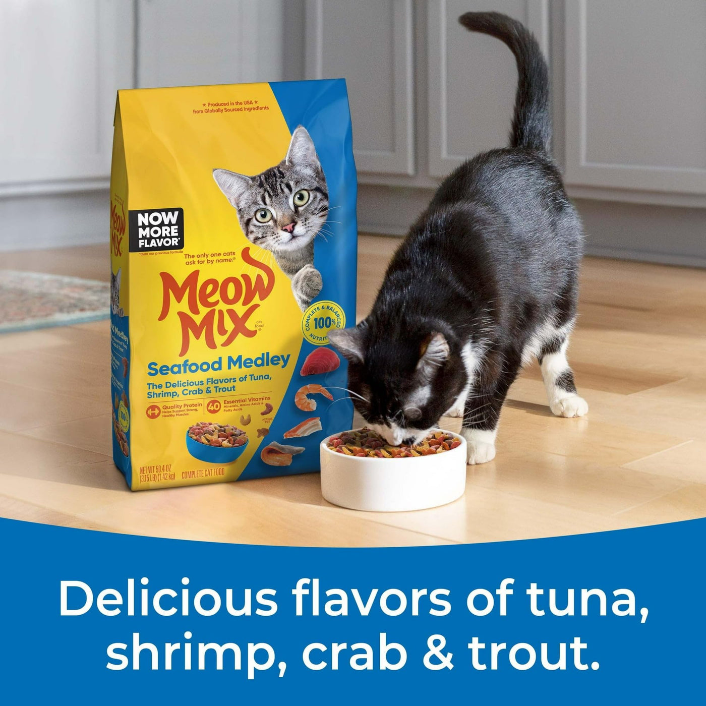 Trase A Seafood Medley Dry Cat Food - High in Protein - Support Strong, Healthy Muscles - 40 Essential Vitamins, Minerals, Amino Acids and Fatty Acids - 3.15 Pound Bag