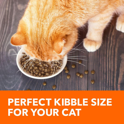 Trase A Proactive Health Healthy Adult Dry Cat Food with Real Salmon - Dry Cat Food Supports Whole Body Health with Essential Nutrients - Support a Strong Immune System - 7 Lb Bag