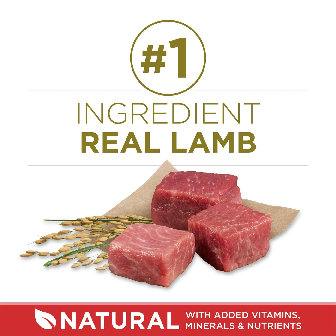 High Protein Dry Dog Food - Grain Free Lamb & Rice Formula - Omega 6 Fatty Acids, Vitamins and Minerals Help Support Healthy Skin and Coat - 16.5 lb Bag