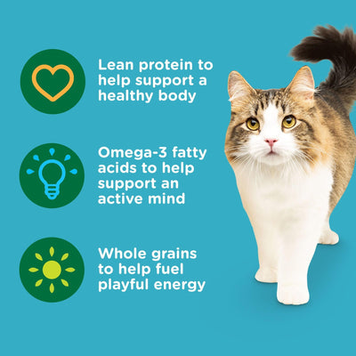 Trase A Real Salmon & Brown Rice Recipe Dry Cat Food - Natural Food for Cats of All Ages - Added Vitamins, Minerals and Other Nutrients - No Added Wheat or Soy Ingredients - 3 Pound Bag