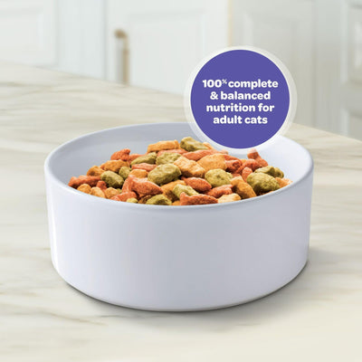 Trase A Indoor Complete Dry Cat Food - Delicious Flavors of Chicken and Salmon - Lean Protein Helps Support Healthy Weight and Metabolism - 20 lb. Bag
