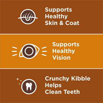 Little Bites with Real Chicken and Beef Dry Dog Food Small Breed Recipe - Crunchy Kibble Blend Helps Clean Dog Teeth - 4 lb Bag