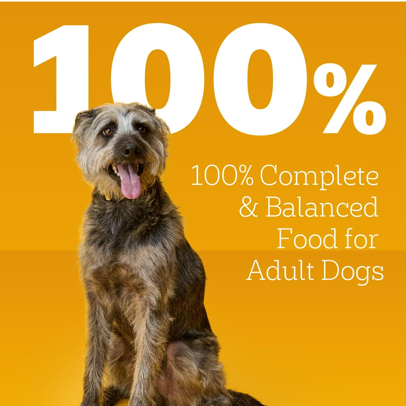 Trase A (3 Pack) Choice Cuts in Gravy Adult Canned Soft Wet Dog Food, Steak & Vegetable Flavor - 13.2 Oz. Can - 100% Complete and Balanced for Adult Dogs