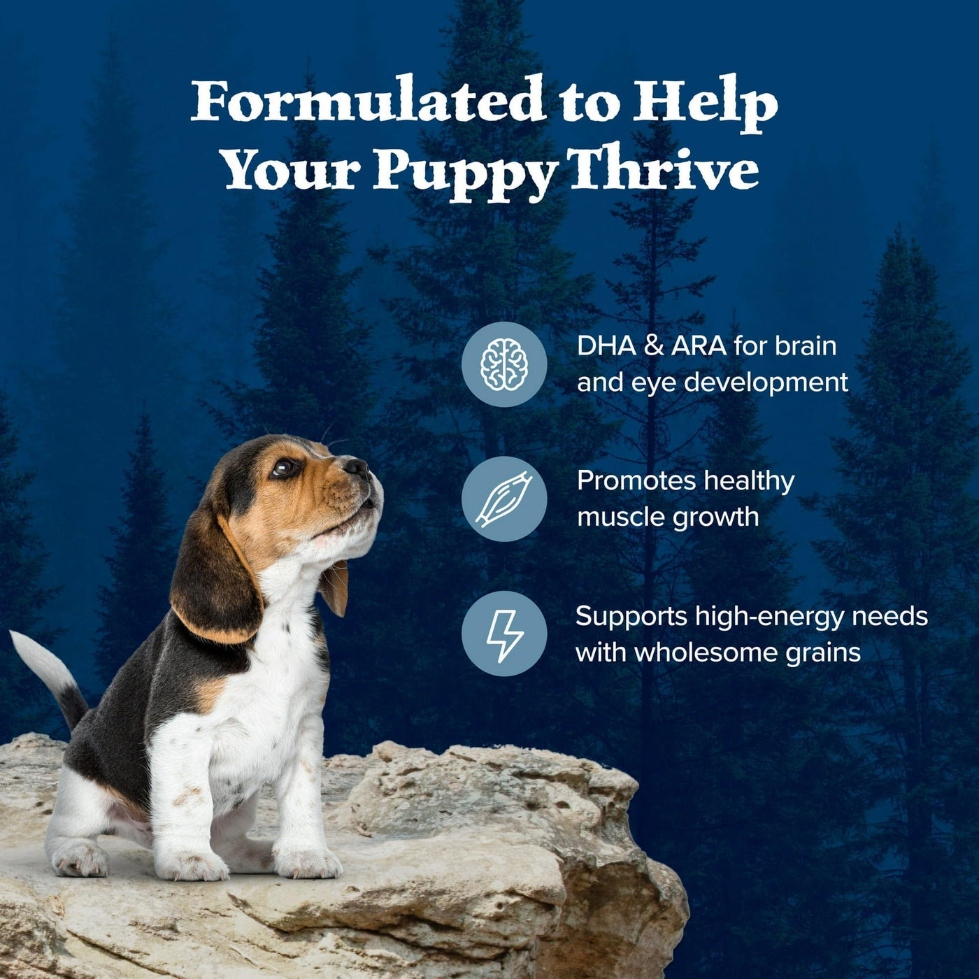 Trase A Wilderness High-Protein Natural Puppy Dry Food, Chicken Recipe - Formulated with Vitamins, Minerals, and Nutrients - 4.5 lb. Bag