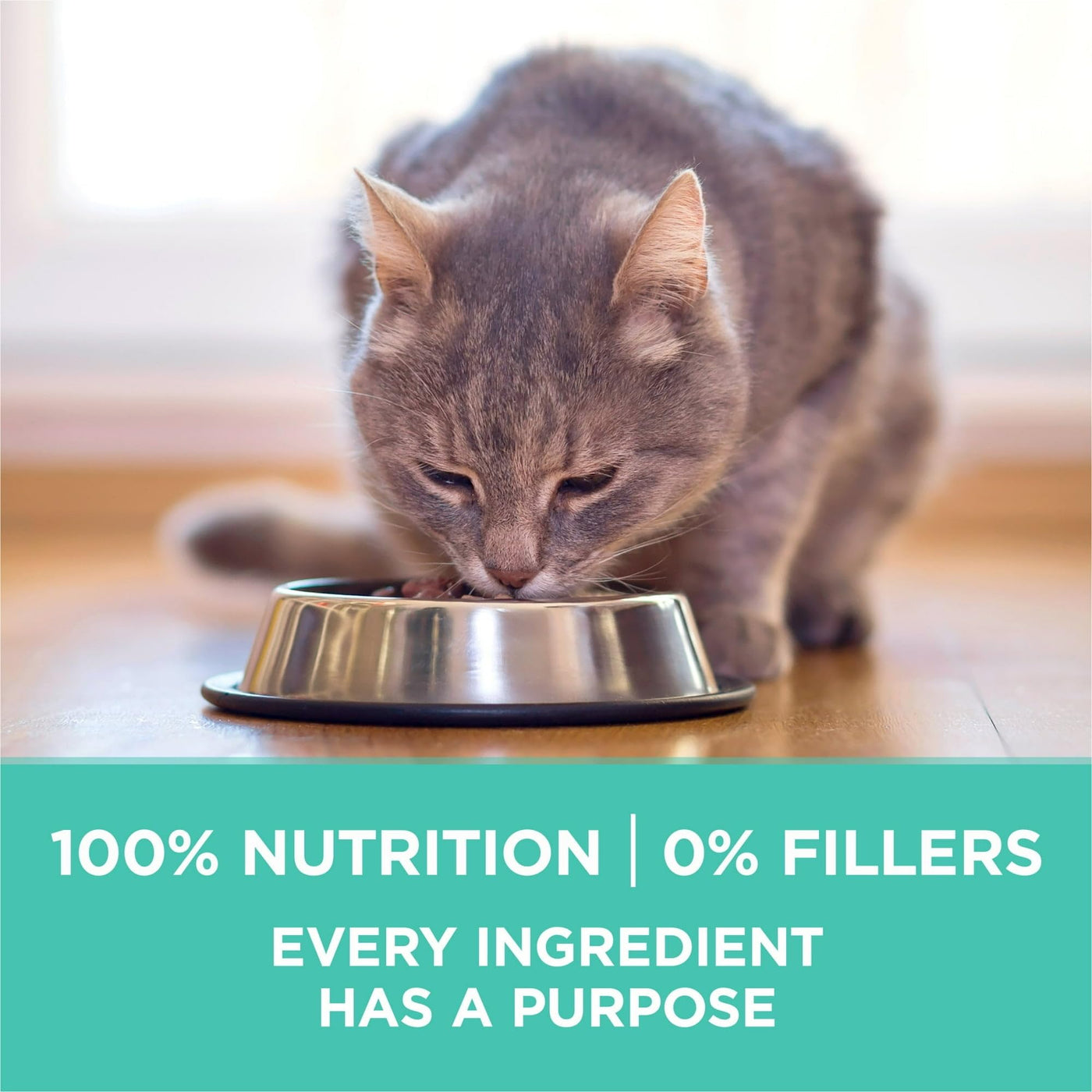 Sensitive Skin & Stomach Dry Cat Food - Turkey - Supports Strong Teeth and Healthy Gums - Digestible Formula for Cats with Sensitive Systems - 16 lb Bag