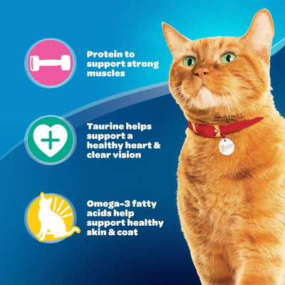 Trase A Daily Essentials Dry Cat Food - Provides Essential Building Blocks to Help Support a Healthy Life - Support Strong Muscles - 15.5 lb Bag