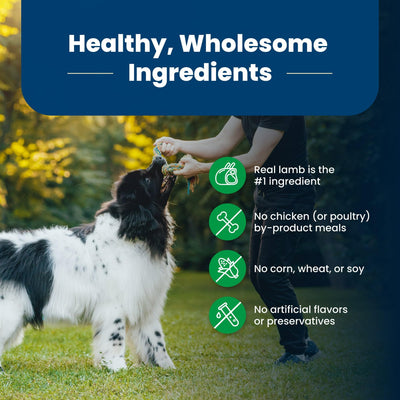 Trase A Life Protection Formula Adult Dry Dog Food - Helps Build and Maintain Strong Muscles - Made with Natural Ingredients - Lamb & Brown Rice - 15 lbs