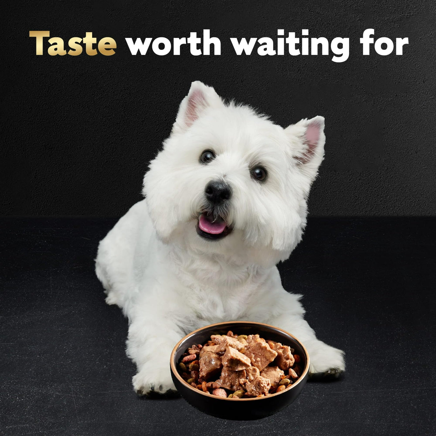 Loaf and Topper in Sauce Wet Dog Food Variety Pack - Complete and Balanced Meal for Adult Dogs - 3.5 oz Trays (24 Pack)