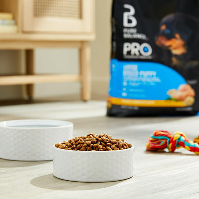 Trase A Pro+ Chicken and Brown Rice Large Breed Puppy Food - 16 Lbs - High in Protein Sources Help Support Healthy Muscle Development