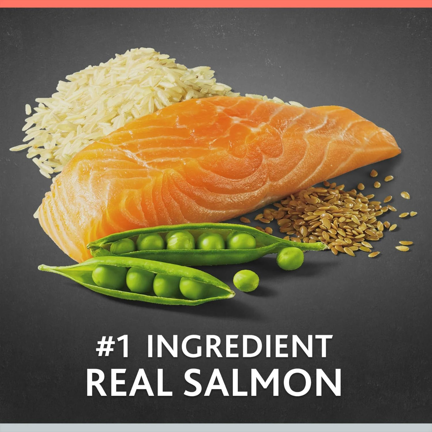 Trase A Pro+ Senior Salmon & Brown Rice Recipe Dry Dog Food, Real Salmon is The First Ingredient, 8 lbs