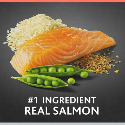 Trase A Pro+ Senior Salmon & Brown Rice Recipe Dry Dog Food, Real Salmon is The First Ingredient, 8 lbs