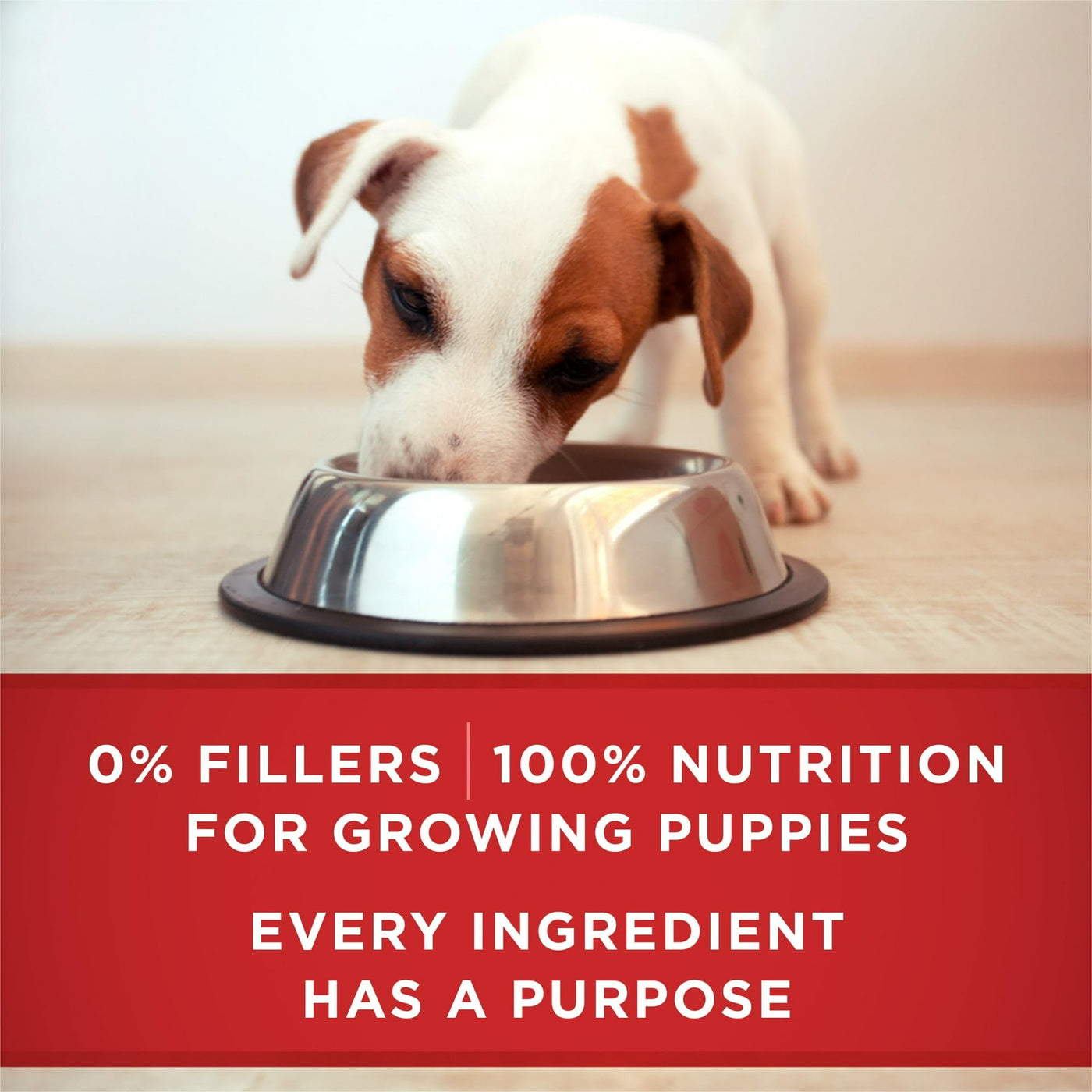 Trase A (2 Pack) Healthy Puppy Wet Dog Food Soft High Protein Lamb & Rice - 13 Oz Can - Antioxidants Help to Support A Strong Immune System