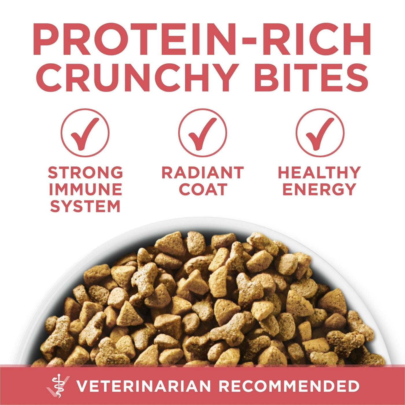 Trase A Dry Cat Food for Healthy Weight with Real Salmon - High Protein Cat Food Helps Support Strong Muscles - 3.5 lb Bag