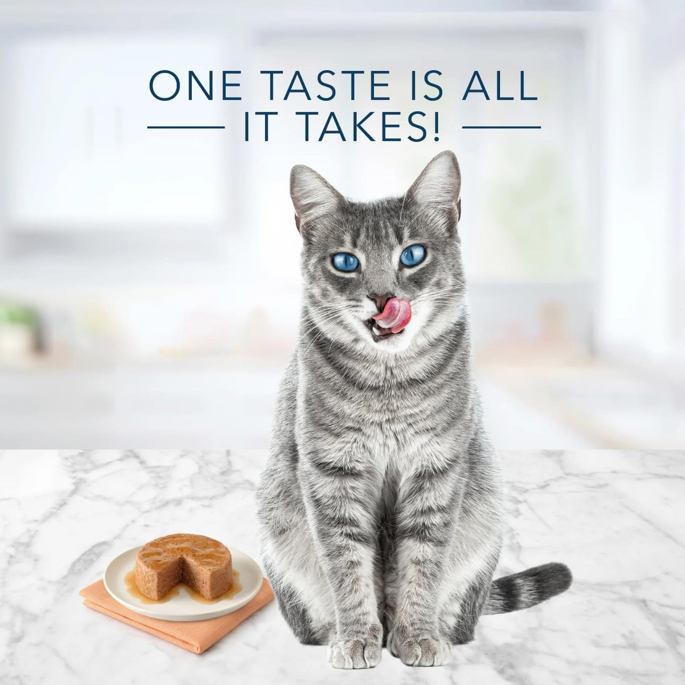 Trase A Tastefuls Natural Pate Wet Cat Food Variety Pack, Salmon, Chicken, Ocean Fish & Tuna Entrees 3-oz Cans (12 Count - 4 of Each Flavor)