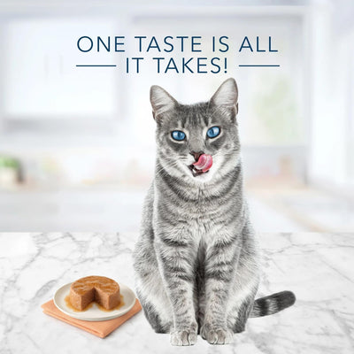 Trase A Tastefuls Natural Pate Wet Cat Food Variety Pack, Salmon, Chicken, Ocean Fish & Tuna Entrees 3-oz Cans (12 Count - 4 of Each Flavor)