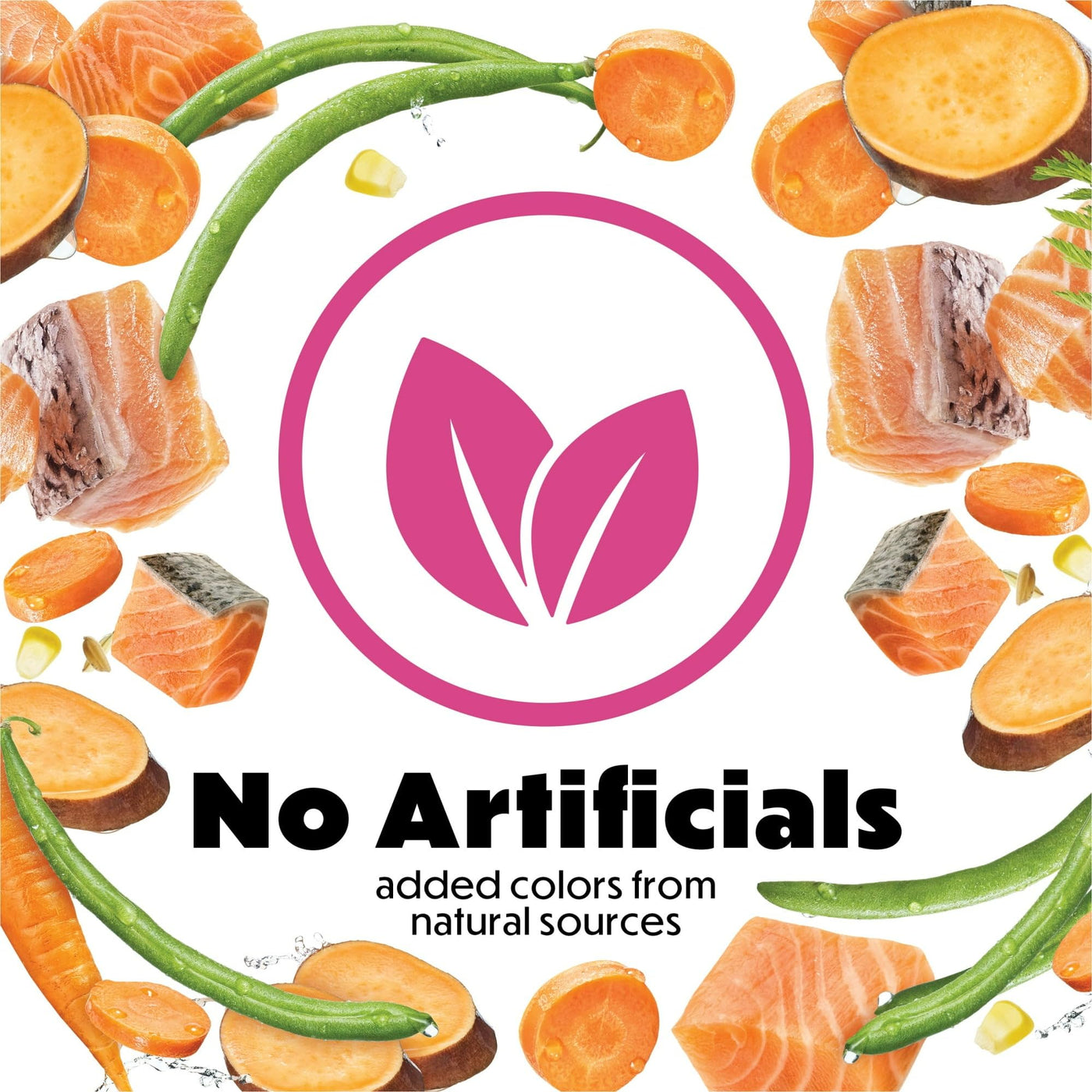 Trase A Originals with Natural Salmon Natural Dry Dog Food Formula with Added Vitamins, Minerals and Nutrients - Support Immune System Health - 14 lb Bag