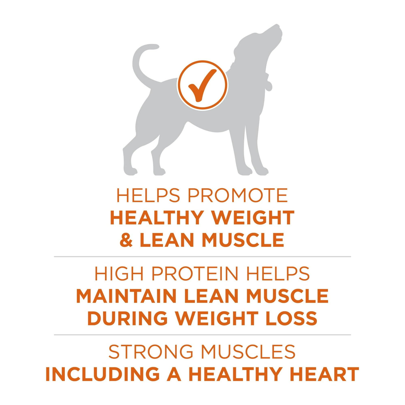 Healthy Weight Dog Food Dry Formula - Real Turkey Flavor Dry Dog Food - Support a Strong Immune System - Deliciously Crunchy Bites - 8 lb Bag