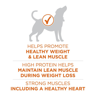 Healthy Weight Dog Food Dry Formula - Real Turkey Flavor Dry Dog Food - Support a Strong Immune System - Deliciously Crunchy Bites - 8 lb Bag