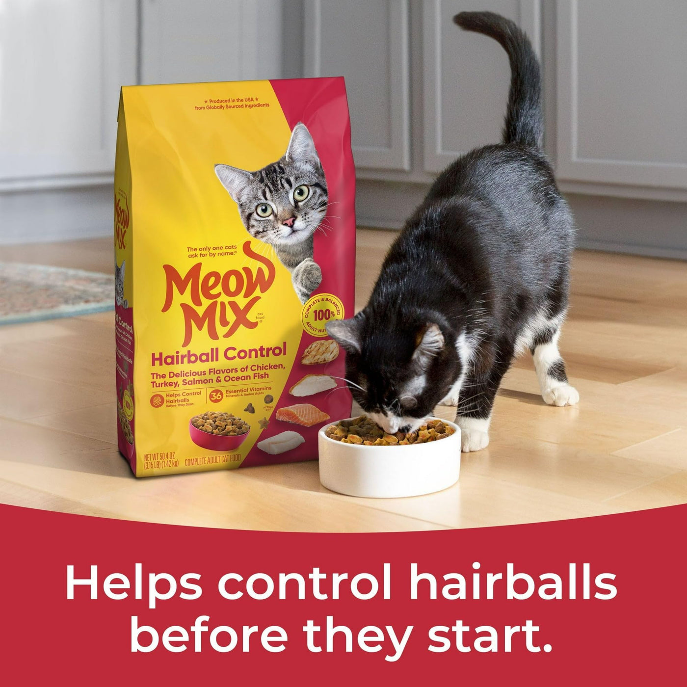 Hairball Control Dry Cat Food - Made with The Delicious Flavors of Chicken, Turkey, Salmon and Ocean Fish - Complete and Balanced Nutrition for Adult Cats - 3.15 Pound Bag