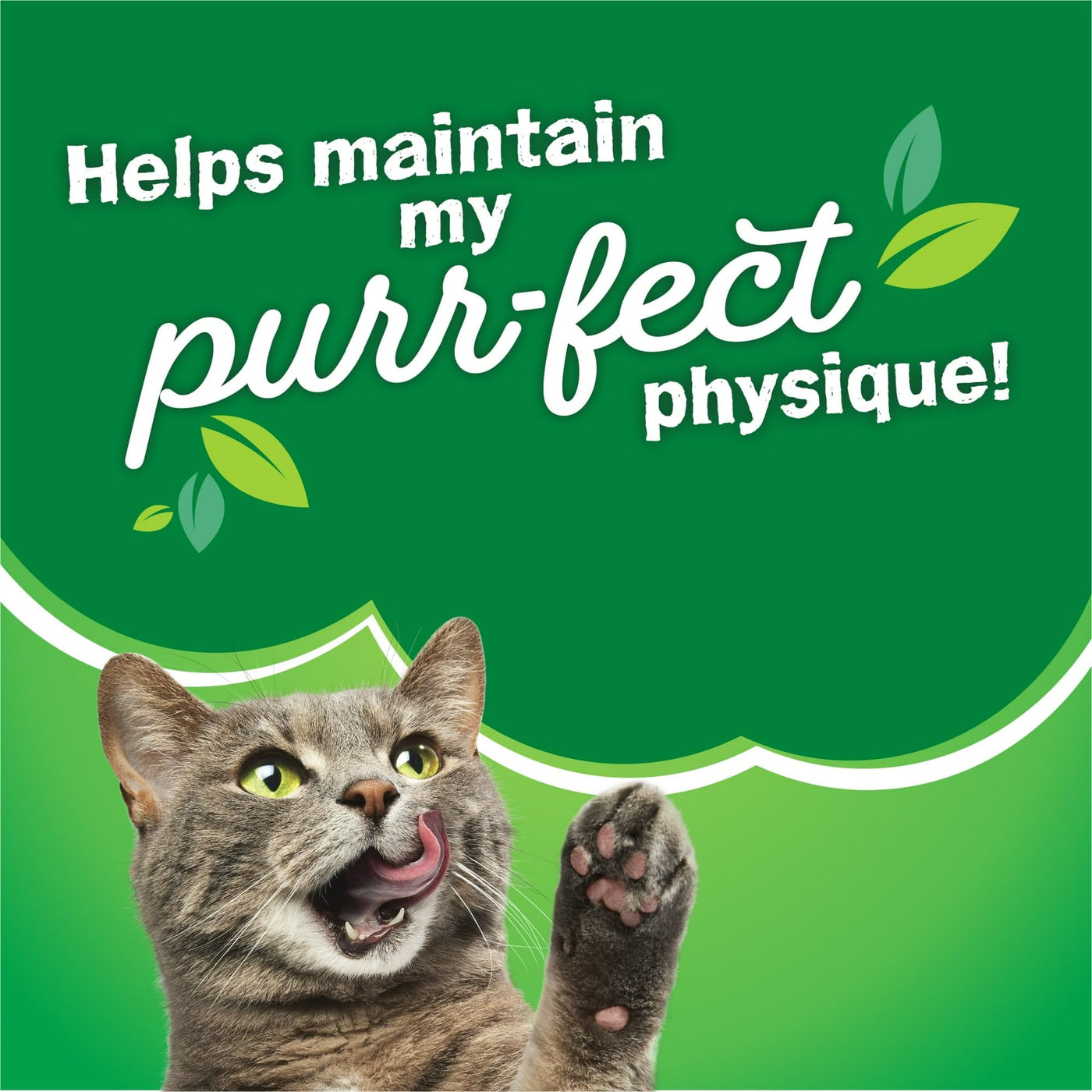 Trase A Indoor Delights Chicken & Salmon Dry Cat Food - Contains a Blend of Salmon, Chicken, Cheese and Garden Greens Flavors - Protein Supports Strong Muscles - 16 lb Bag