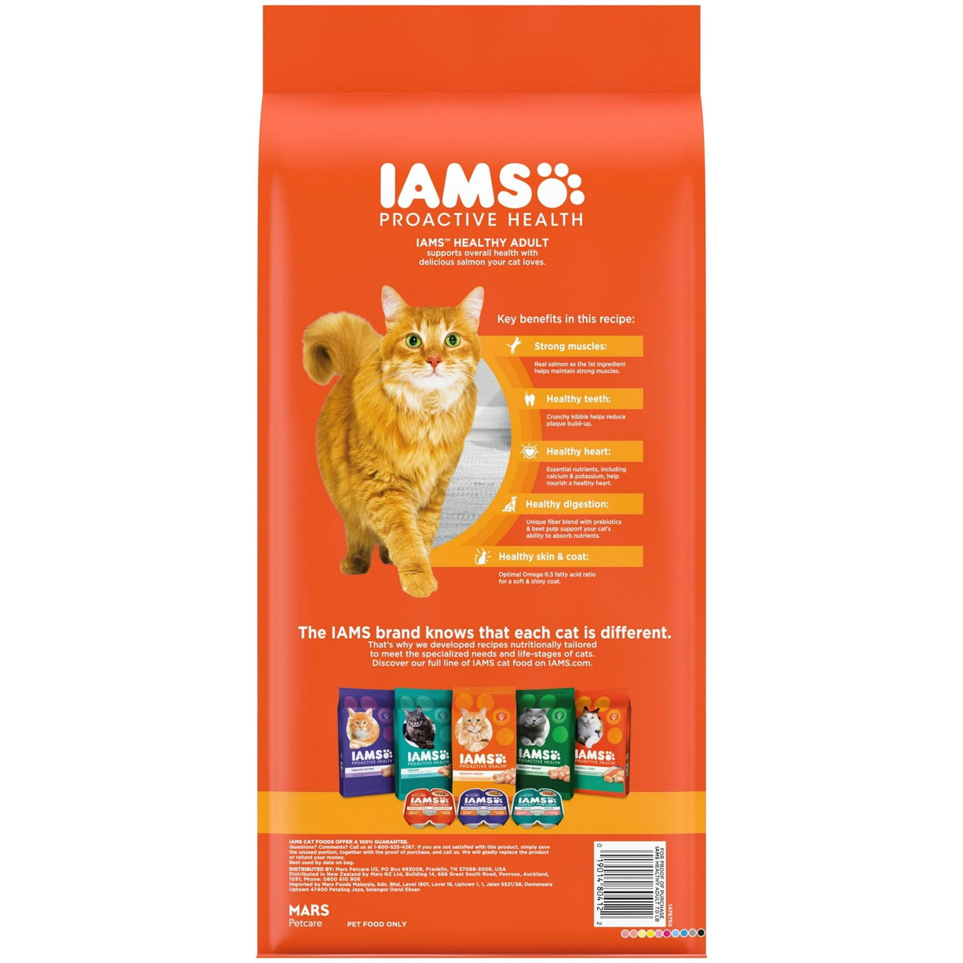 Trase A Proactive Health Healthy Adult Dry Cat Food with Real Salmon - Dry Cat Food Supports Whole Body Health with Essential Nutrients - Support a Strong Immune System - 7 Lb Bag
