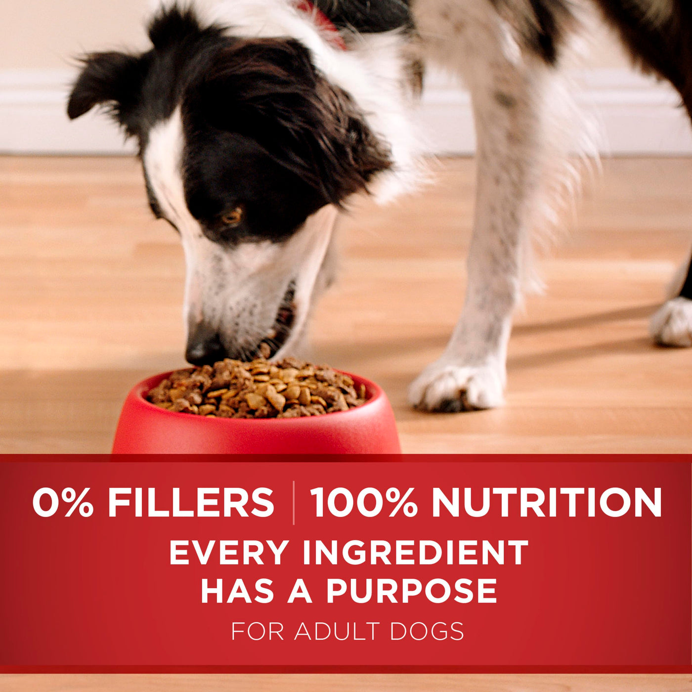 Trase A Purrina One Dry Dog Food for Adult Dogs, High Protein Dog Food with Added Vitamins and Minerals, Real Chicken & Rice, 16.5 lb Bag