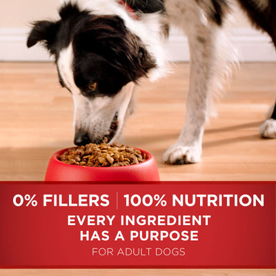 Trase A Purrina One Dry Dog Food for Adult Dogs, High Protein Dog Food with Added Vitamins and Minerals, Real Chicken & Rice, 16.5 lb Bag
