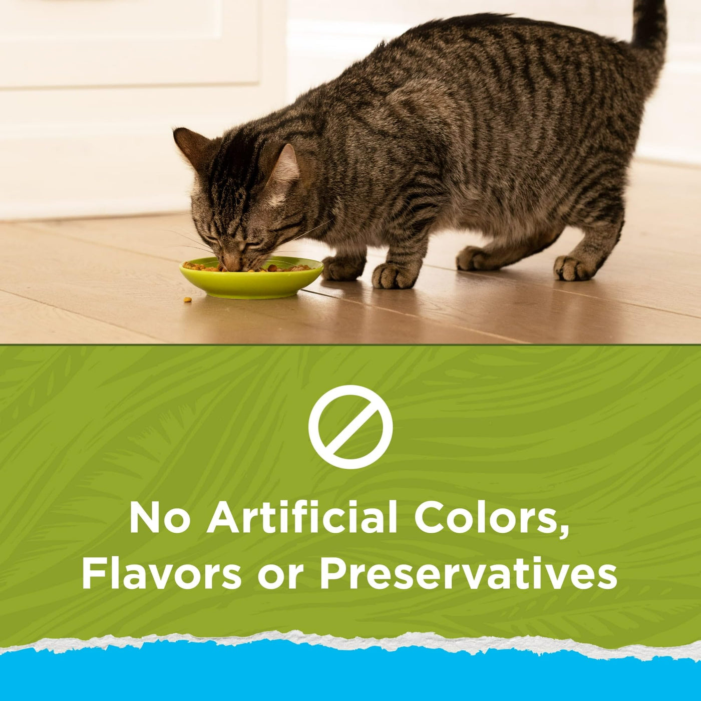 Natural Indoor Dry Cat Food with Added Vitamins, Mineral, and Nutrients - Chicken & Turkey - Complete and Balanced for Adult Cats - Natural Fiber Helps Controls Hairballs - 3.15 lb Bag