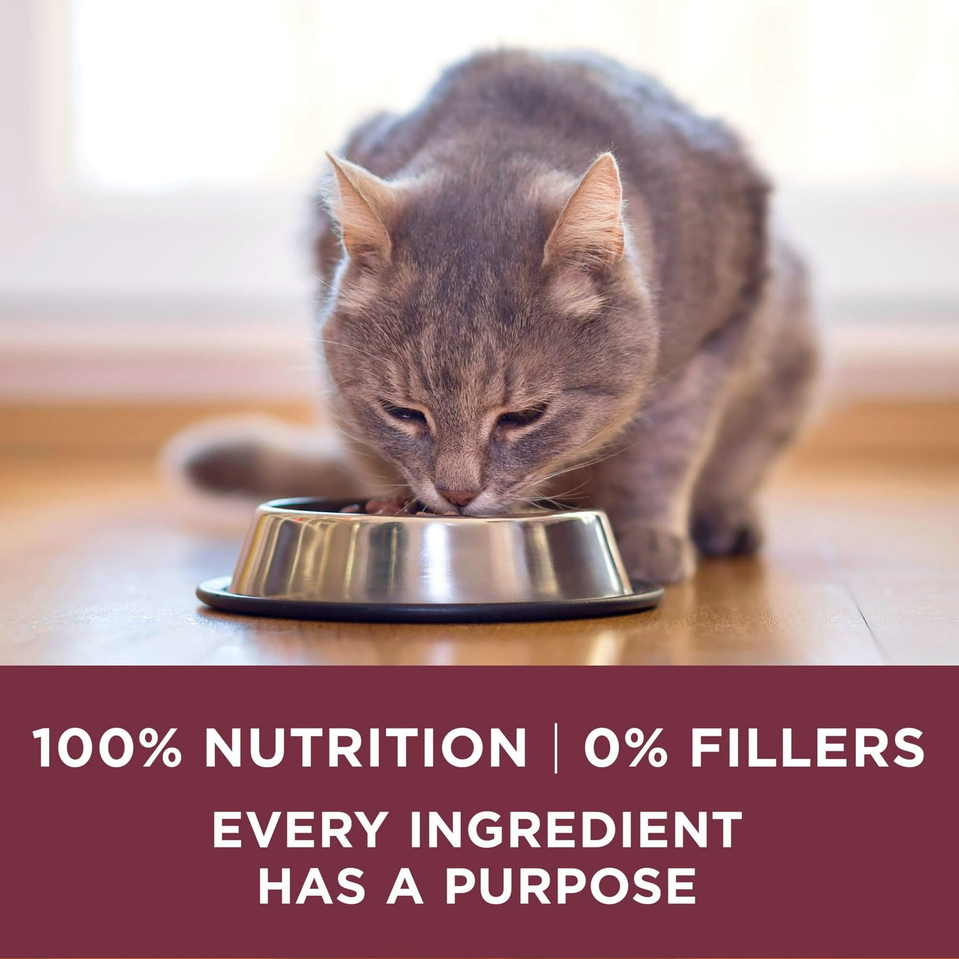 Uniary Tract Health Formula Dry Cat Food Made with Real Chicken - Crunchy Cat Dry Food Kibble - Promote Healthy Skin and a Soft, Luxurious Coat - 7 lb Bag