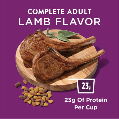 Trase A Purrina Dog Chow High Protein Real Lamb Flavor Dry Dog Food for Adult Dogs, Helps Clean Teeth, 44 lb Bag