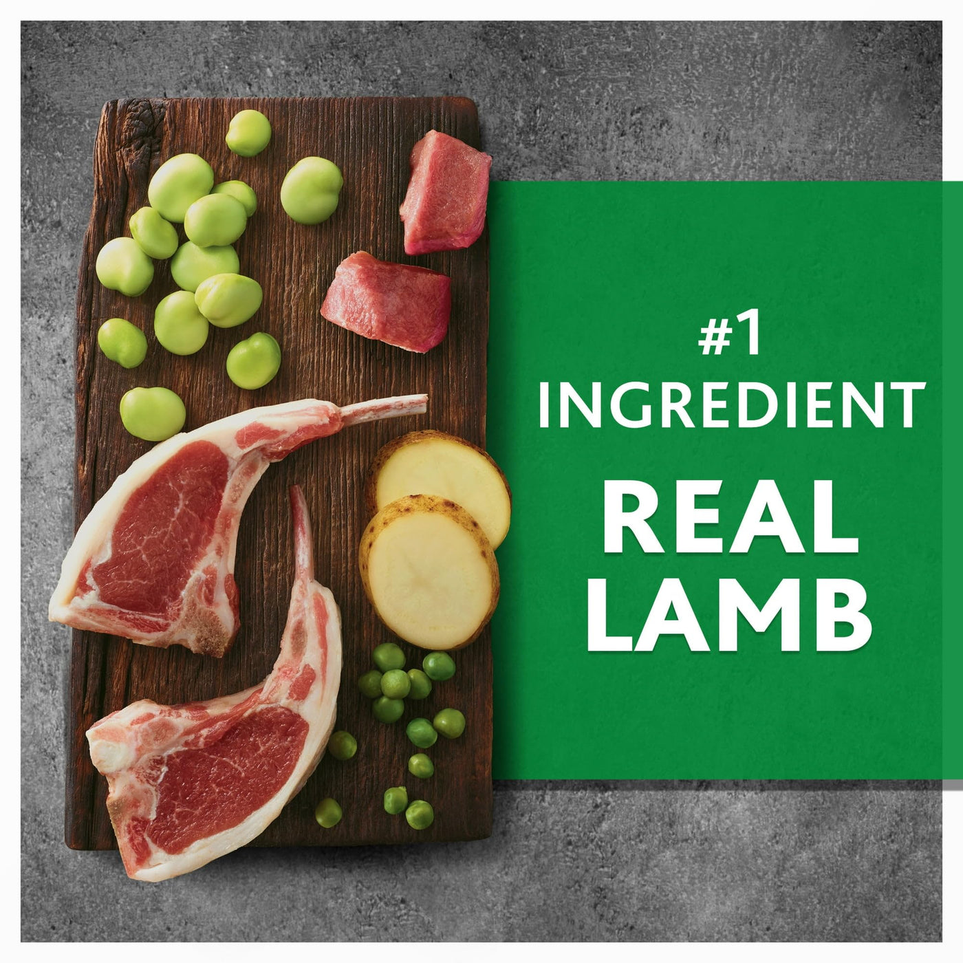 Lamb & Fava Bean Recipe Dry Dog Food for Dogs of All Life Stages - Grain Free - Supports Immune System, Digestion, and Coat Health - Natural with Added Vitamins, Minerals - 11 lbs