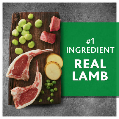 Lamb & Fava Bean Recipe Dry Dog Food for Dogs of All Life Stages - Grain Free - Supports Immune System, Digestion, and Coat Health - Natural with Added Vitamins, Minerals - 11 lbs