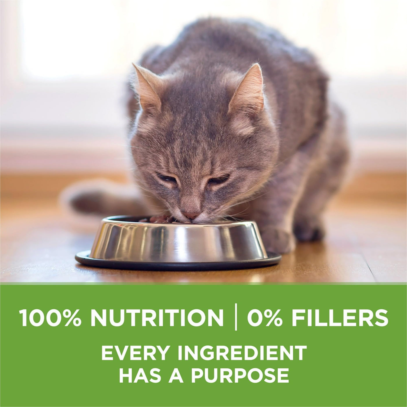 Dry Cat Food with Turkey Flavor - Low Fat, Weight Control Indoor Dry Cat Food - 100 Percent Complete and Balanced Nutrition - Made Without Corn, Wheat or Soy - 3.5 lb Bag