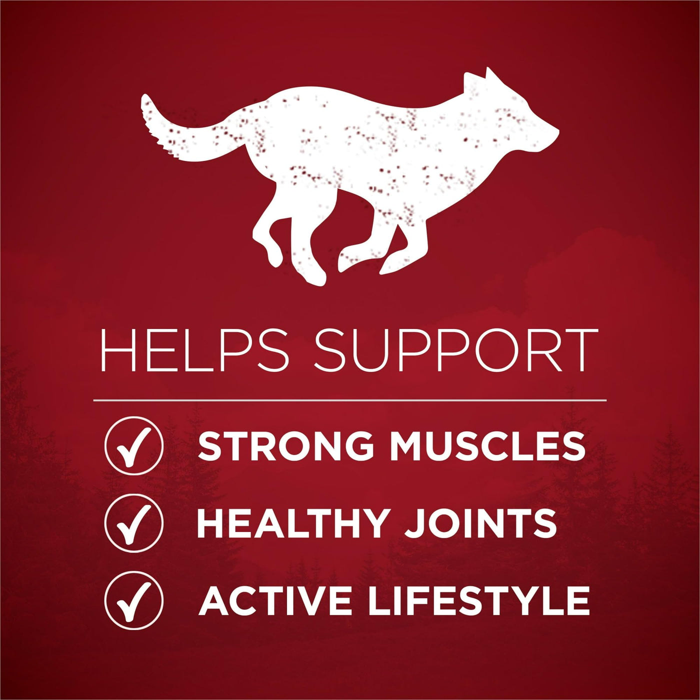 Dry Dog Food for Adults - High Protein Real Turkey & Vension - Support Strong Muscles, Healthy Heart - Natural Dog Food with Added Vitamins, Minerals and Nutrients - 15 lb Bag