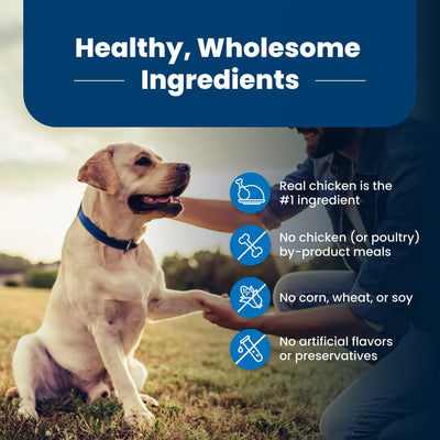 Trase A Life Protection Formula Senior Dry Dog Food - Chicken & Brown Rice - Supports Joint Health and Mobility - Made with Natural Ingredients - 15 lbs