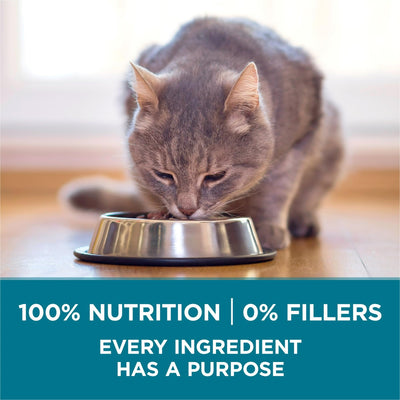 Tender Select Blends Dry Cat Food - Chicken Providing Protein to Help Support Strong Muscles - Natural Plus Essential nutrients - 22 lb Bag